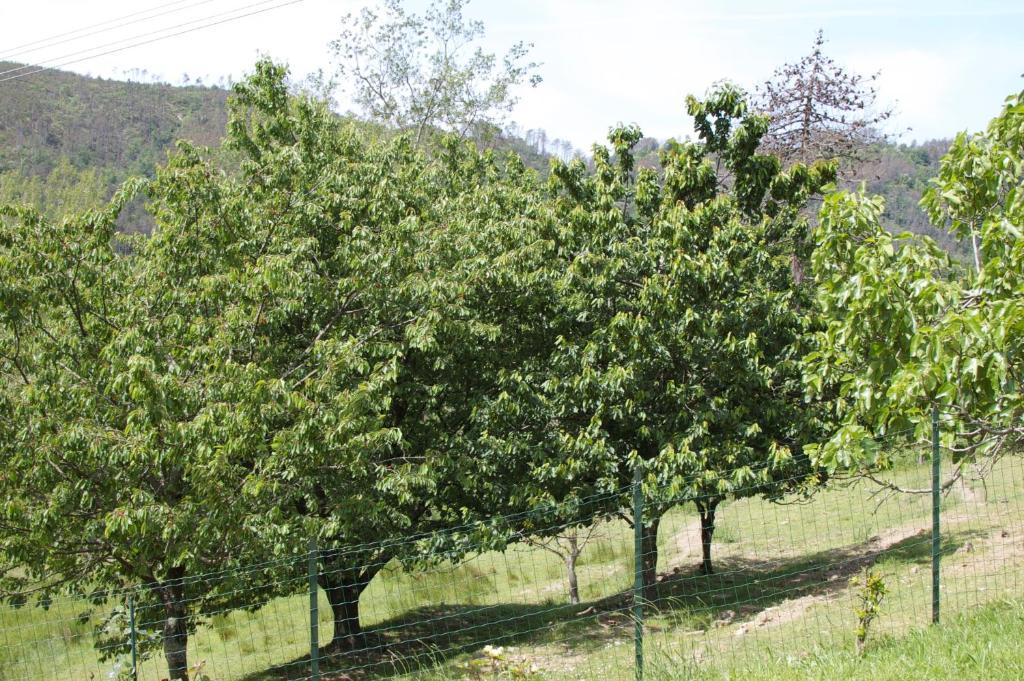 Affittacamere Graziella Vernazza Kültér fotó